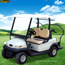 48V battery 2 seater electric golf buggy car